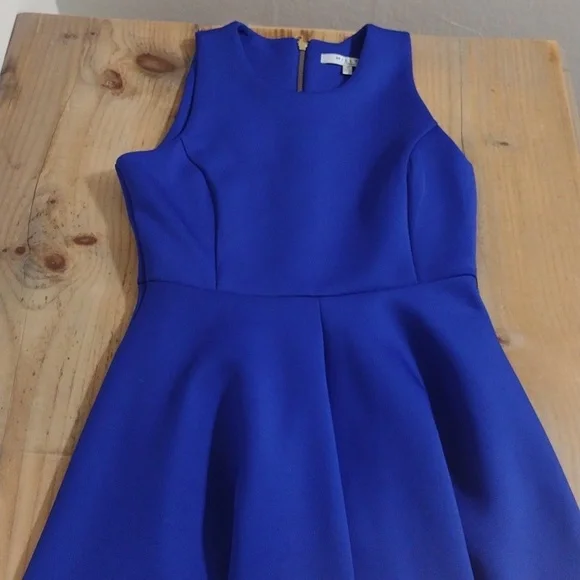 Milly Blue Fit & Flare Sleeveless Dress Exposed Goldtone Back Zip Size 4 - Picture 9 of 11